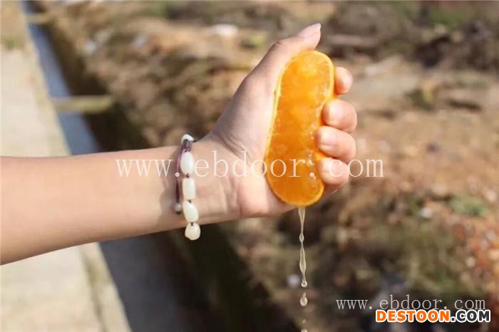 鹰潭果冻橙-润昌果业-果冻橙哪里的好