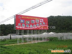 哪里有火龙果苗批发-大博金声名远播-上海火龙果苗