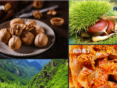 商洛：扶贫产品遭滞销 局长直播神助攻商洛展开网络抗疫帮扶滞销扶贫产品