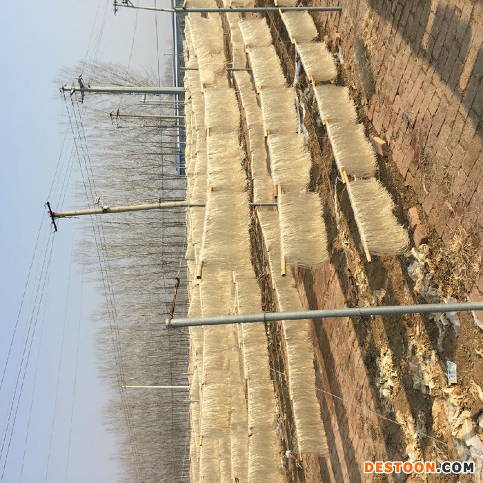 小型制粉条机 红薯粉条机械重庆 家用电