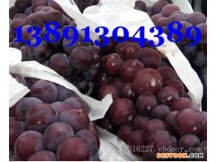 陕西户太葡萄产地批发，户太葡萄产地最新价格