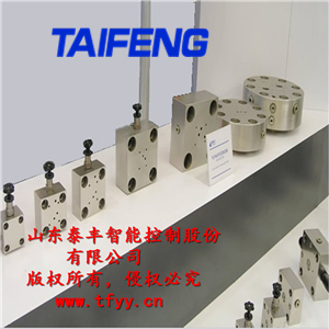 泰丰厂家专业供应TLC25DBU型盖板