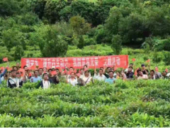 勐宋乡积极展开茶叶技术培训