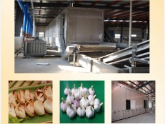 【厂家直销】大蒜烘烤设备，蔬菜烘烤生产线设备厂家