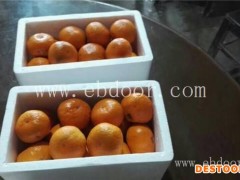 什么柑橘苗好-柑橘苗-岗峰农场——甜美多汁(查看)