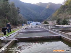 养殖光唇鱼-鼎鸿专业鱼苗养殖基地-光唇鱼