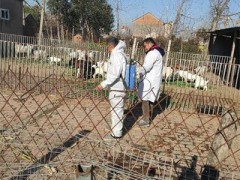 我晋中市展开集中清洗消毒突击周举动