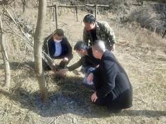 佛坪：县农业农村局强化春耕消费指点