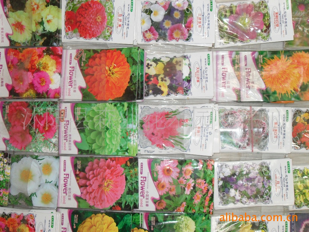 低价供应各种绿化苗木，花卉种子