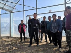 甘泉：疫情防控不马虎春耕指点不缺位