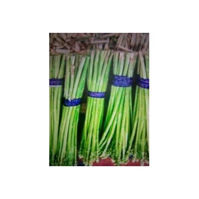[供]自家种的芦笋，当天摘当天发货，货量很多。保证新鲜度