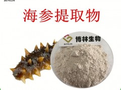 海参提取物10:1  海参粉  海参多糖 植物提取物