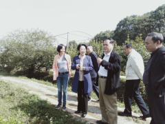 市人大副主任芮英姿一行督查我县农产品质量安全工作