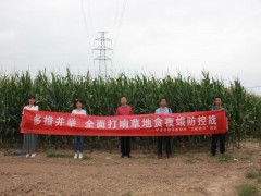 平凉平凉市多措并举全面打响草地贪夜蛾防控战