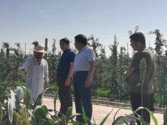 建好试验站 种好试验田