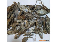 贵州高蛋白鱼粉介绍-馨兰饲料原料【点击咨询】