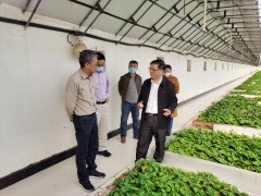 乐陵晋中市农业农村局：助力小土豆联姻中科院