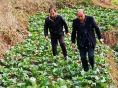 宁强：县农技中心积极展开麦油“三情”调查