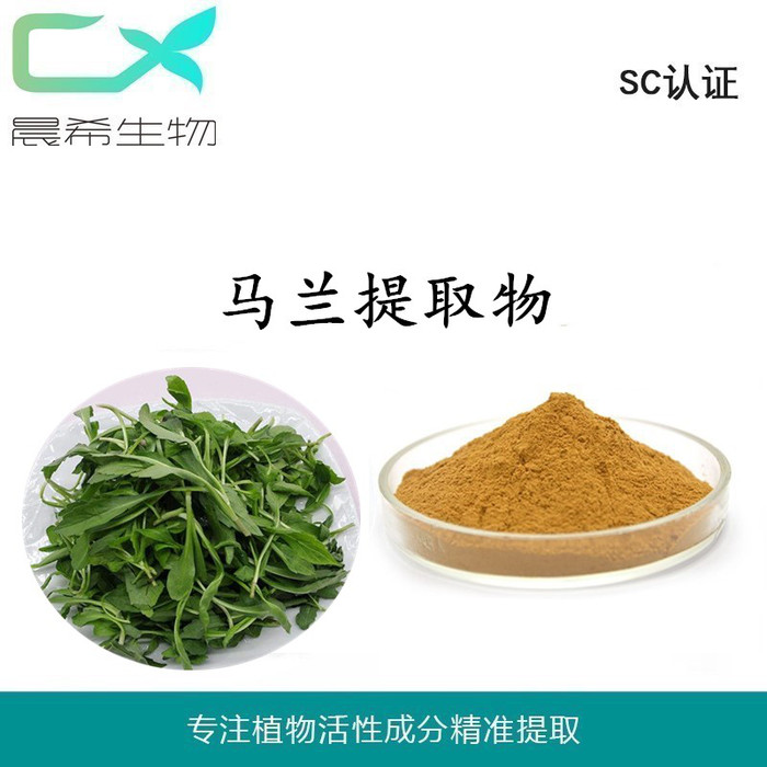 马兰提取物10：1马兰粉水溶或醇溶起订1kg现货包邮