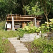 石台县仙寓程氏蜜蜂养殖场