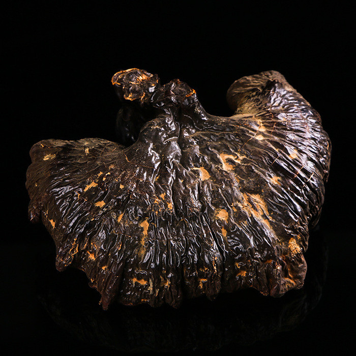 灵芝长白山椴木长白山灵芝片老年人适合灵芝