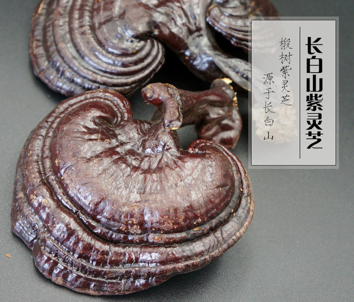 灵芝是饭前吃长白山灵芝高血压灵芝么服用