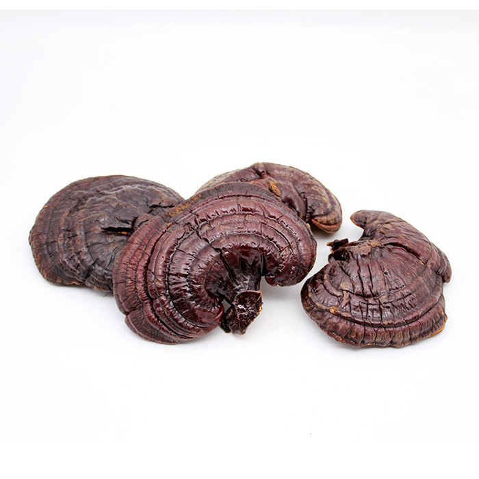 老年人吃灵芝好长白山灵芝粉灵芝产的好