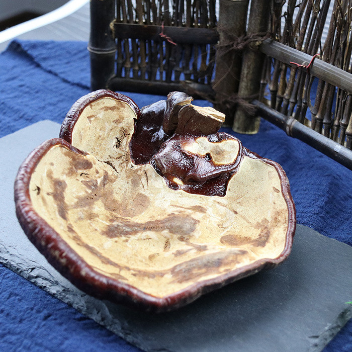 灵芝对有效长白山灵芝片老年可以灵芝