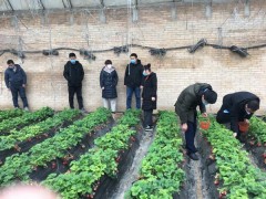 宜川：防控疫情  攻克时艰  县农业农村局全力做好农产质量量安全监测义务