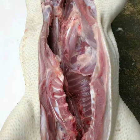 六安豪猪肉