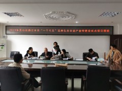 自治区验收组到灵山县验收2019年西江水系“一干七支”沿岸生态农业产业带建立试点项目