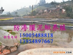 供应湖南优质水产养殖膜|黄鳝泥鳅养殖膜|用于各类养殖池及护坡防渗