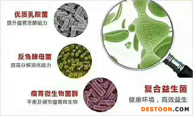 肉牛 肉羊 添加剂