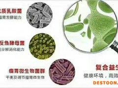 肉牛 肉羊 添加剂