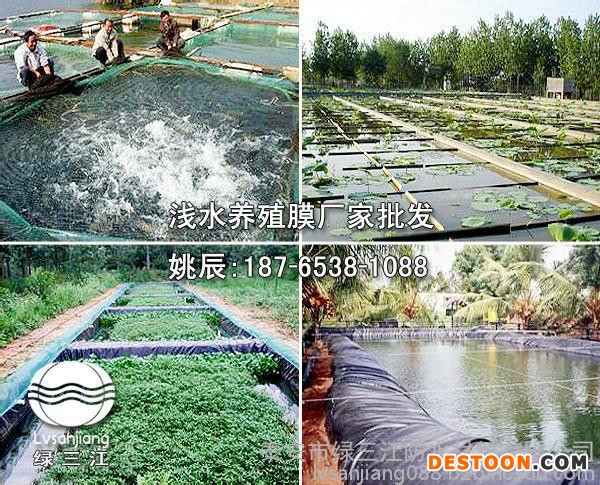 乌鲁木齐泥鳅养殖专用膜批发_乌鲁木齐泥鳅养殖专用膜价格