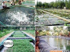 延边莲藕养殖膜批发_延边莲藕养殖膜价格