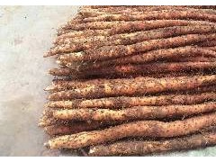 [供]供应河南温县正宗绿色有机无公害铁棍山药自种自销价格合理