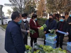 安康：600余斤爱心蔬菜送往抗疫一线