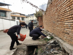 勐海县农业农村局坚持展开“大打扫、大消毒、大灭蚊”爱国卫生运动