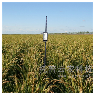 智能株高测量仪