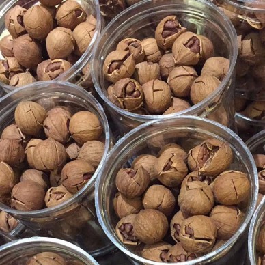 【驰骄】临安山核桃大籽椒盐/奶油手剥小核桃250g罐装坚果干果炒货批发代理