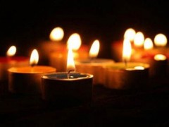 中花协今年将举办北京世园会和世界花卉大会等系列重大活动