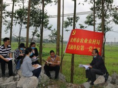 创新载体 激起生机