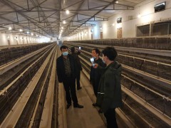 白水：晋中市农技中心来白反省指点复工复产及安全消费义务