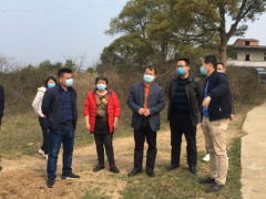 市农业农村局指导来新建区督导高规范农田建立