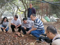 自治区农业农村厅任务组到钦州市调研农业经济稳增长任务