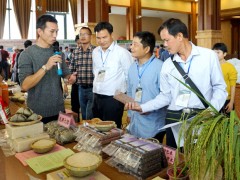 蚝情节里稻米香