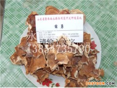 食用菌栽培-食用菌-永腾菌业批发榆耳菌种(查看)