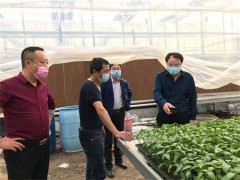 市农业农村局积极帮扶企业展开复工复产