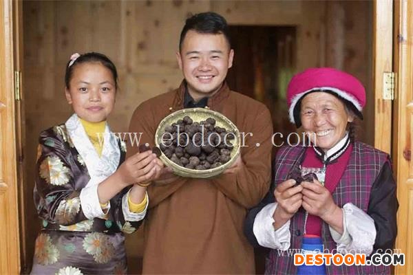 松露是怎么形成的-丛茸菌业(在线咨询)-松露